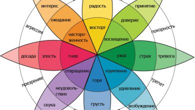 Photo of Драмы: глубокие чувства и эмоции