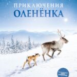 Приключения Олененка Постер